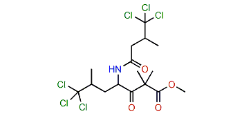 1,2-Secodysidamide H